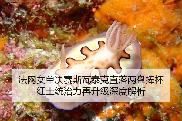 法网女单决赛斯瓦泰克直落两盘捧杯 红土统治力再升级深度解析