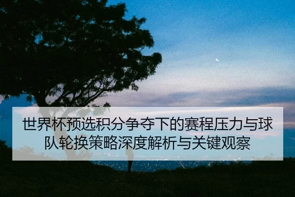 世界杯预选积分争夺下的赛程压力与球队轮换策略深度解析与关键观察