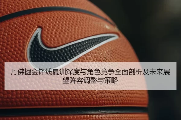 丹佛掘金锋线夏训深度与角色竞争全面剖析及未来展望阵容调整与策略